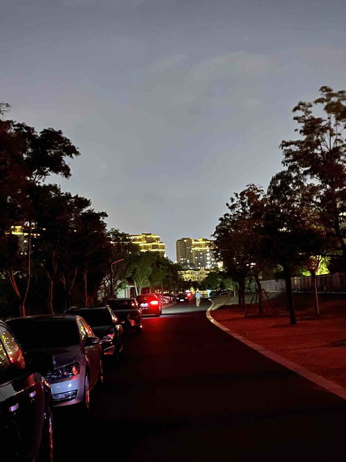 燈火闌珊處的思辨 再探城市的“路燈問題”